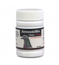 Amoxicillin 10mg - TABLETS - 4 in 1 - broad spectrum - Racing Pigeons