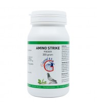 Amino Strike 300gr - protein supplement - by Giantel
