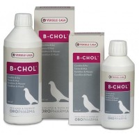 B-Chol 500 ml by Oropharma - Versele-Laga