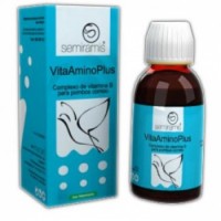 Vita Amino Plus 100ml  - B Vitamins - by Ibercare
